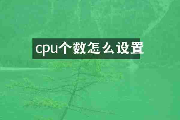 cpu个数怎么设置