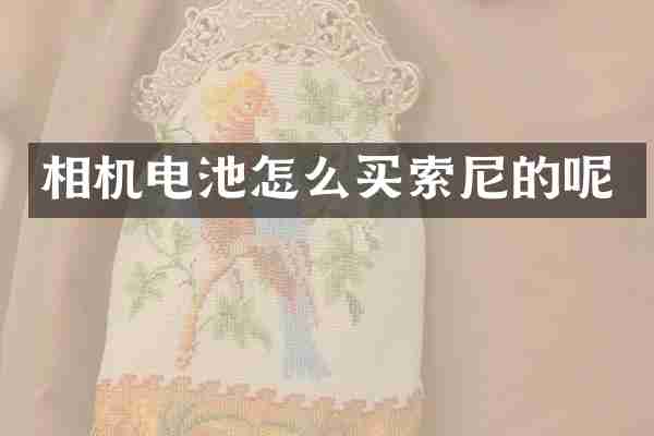 相机电池怎么买的呢
