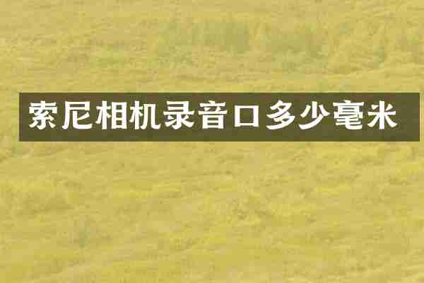 索尼相机录音口多少毫米