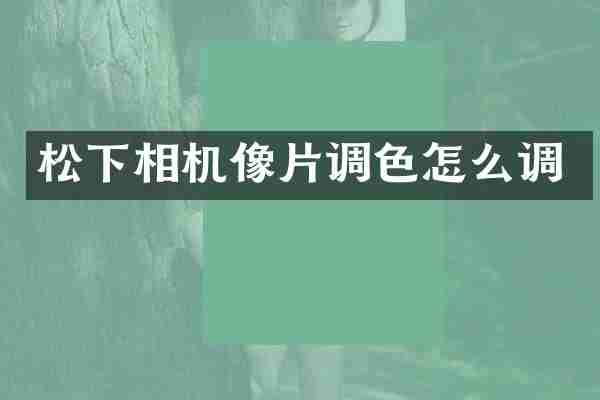 松下相机像片调色怎么调