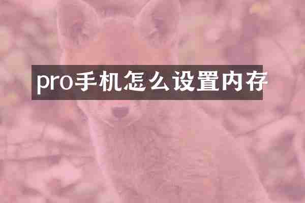 pro手机怎么设置内存