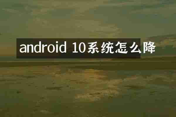 android 10系统怎么降