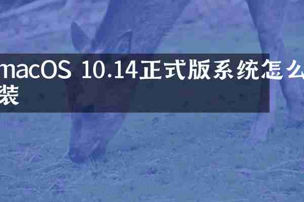 macOS 10.14正式版系统怎么安装
