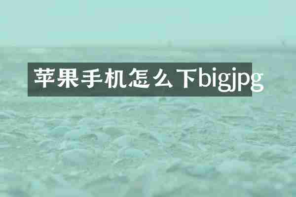 苹果手机怎么下bigjpg