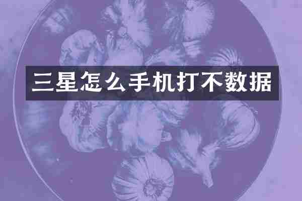 三星怎么手机打不数据