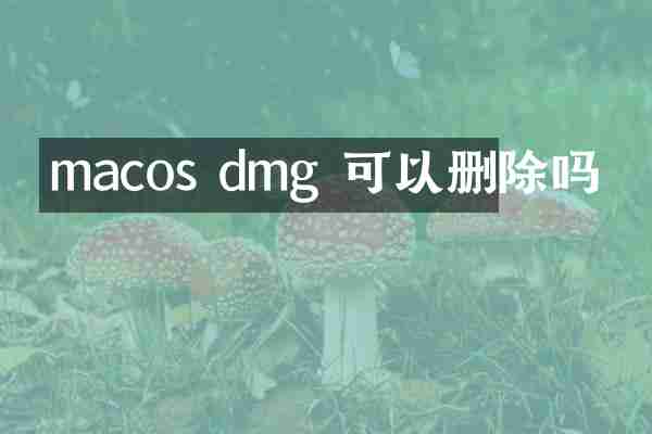 macos dmg 可以删除吗