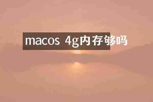 macos 4g内存够吗