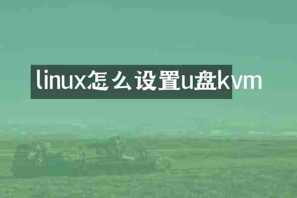 linux怎么设置u盘kvm