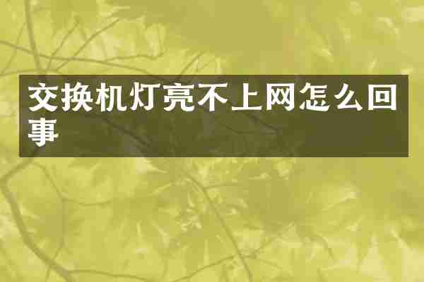 交换机灯亮不上网怎么回事