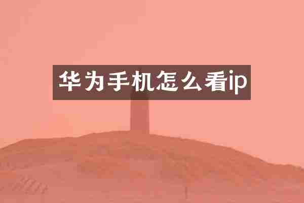 华为手机怎么看ip