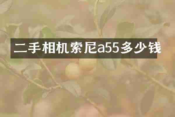 二手相机索尼a55多少钱