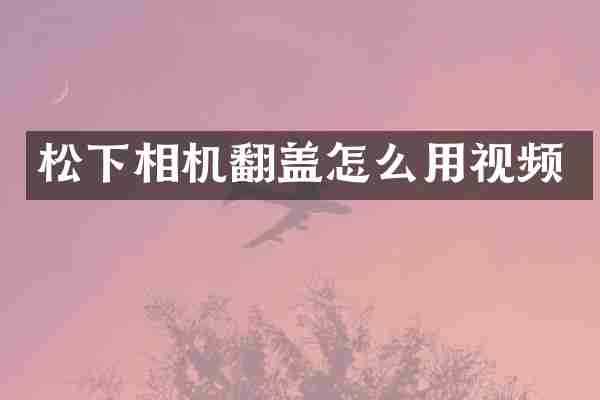 松下相机翻盖怎么用视频