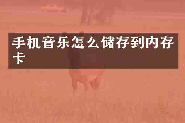 手机音乐怎么储存到内存卡
