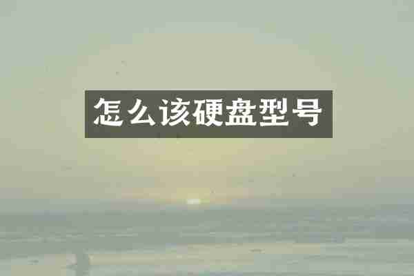 怎么该硬盘型号