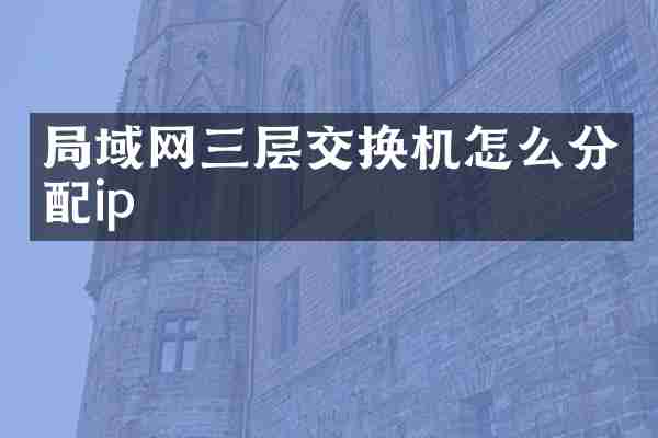 局域网三层交换机怎么分配ip