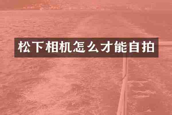 松下相机怎么才能自拍