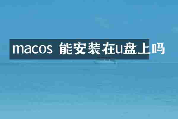 macos 能安装在u盘上吗