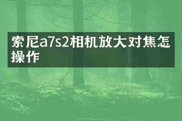 a7s2相机放大对焦怎么操作