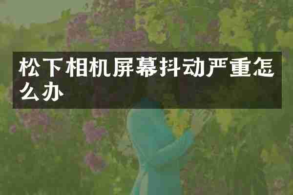 相机屏幕抖动严重怎么办