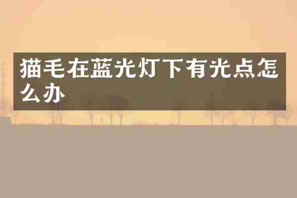 猫毛在蓝光灯下有光点怎么办