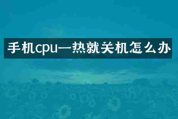 手机cpu一热就关机怎么办
