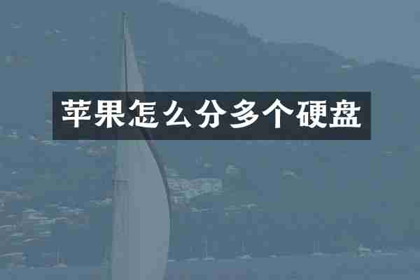 苹果怎么分多个硬盘