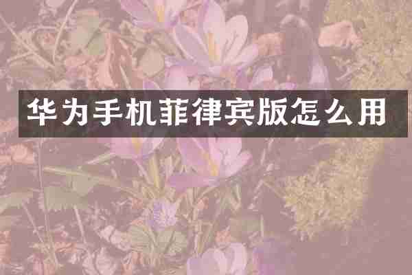 华为手机菲律宾版怎么用