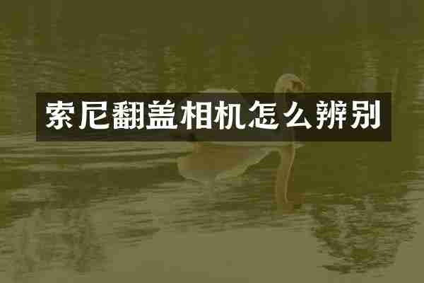 翻盖相机怎么辨别