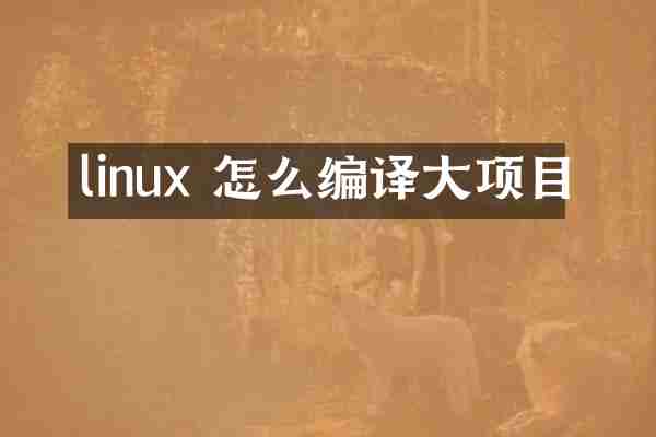 linux 怎么编译大项目