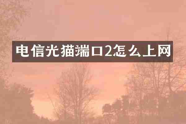 电信光猫端口2怎么上网