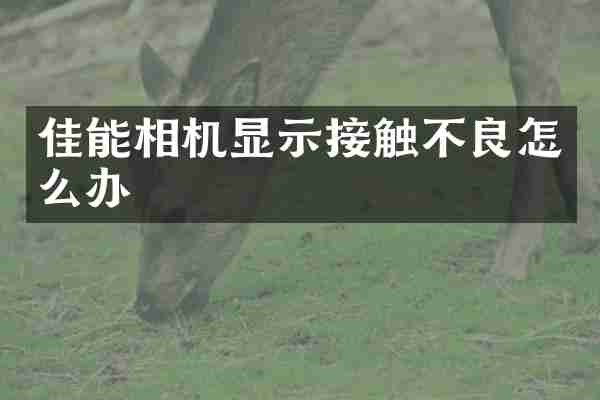 佳能相机显示接触不良怎么办