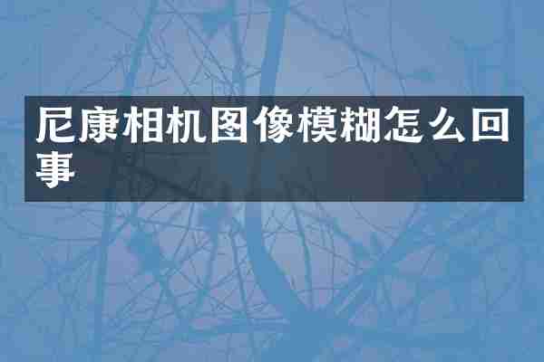 尼康相机图像模糊怎么回事
