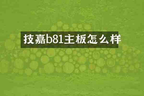 技嘉b81主板怎么样