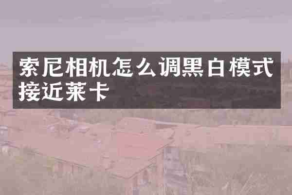 相机怎么调黑白模式接近莱卡