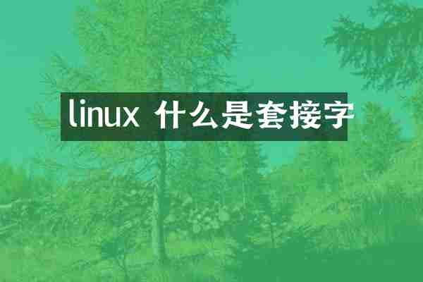 linux 什么是套接字