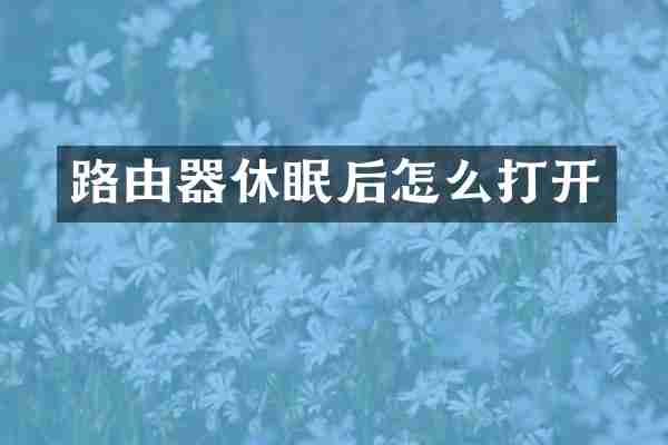 路由器休眠后怎么打开