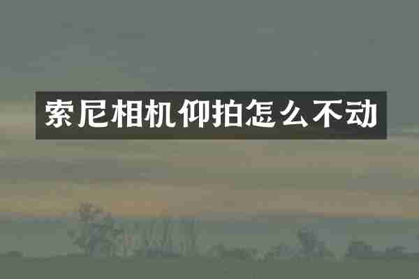 相机仰拍怎么不动