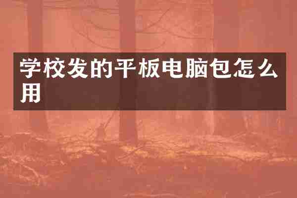 学校发的平板电脑包怎么用