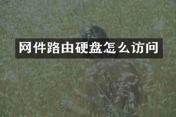 网件路由硬盘怎么访问