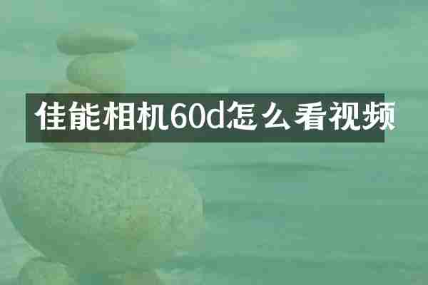 佳能相机60d怎么看视频