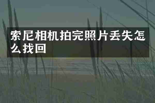 相机拍完照片丢失怎么找回