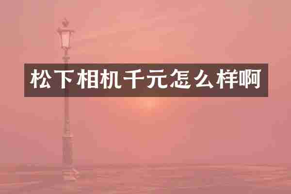 相机千元怎么样啊