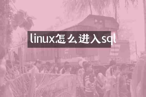 linux怎么进入sql
