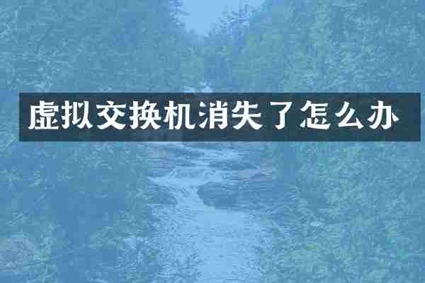 虚拟交换机消失了怎么办