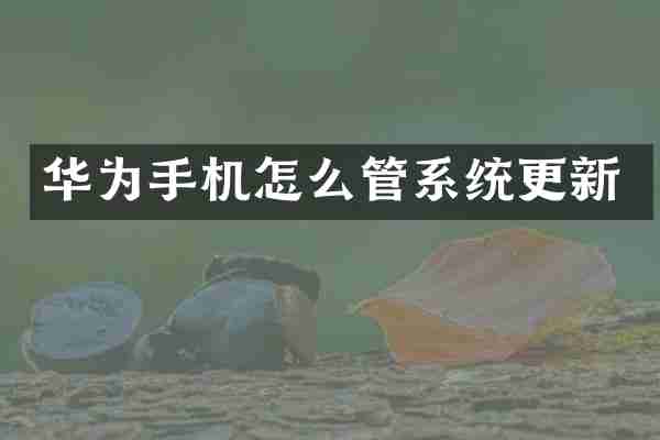华为手机怎么管系统更新