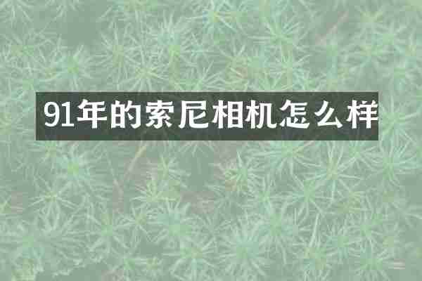 91年的相机怎么样