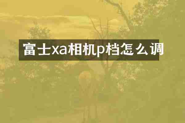 富士xa相机p档怎么调