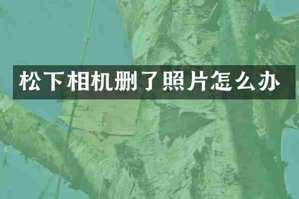 相机删了照片怎么办