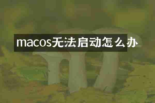 macos无法启动怎么办