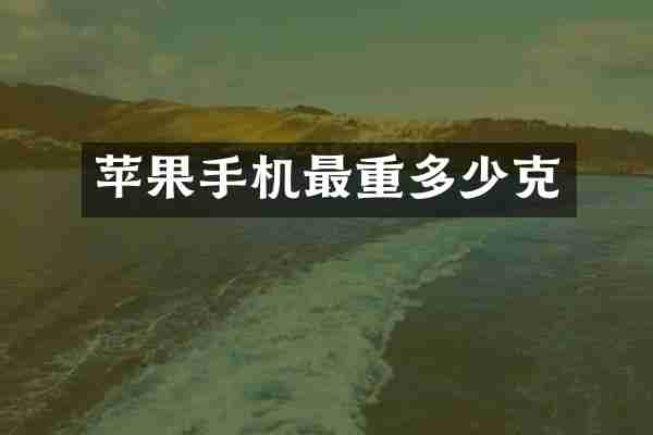 苹果手机最重多少克